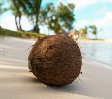 Kokosnoot